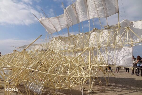 「現代達文西」Theo Jansen在千葉縣立美術館展出，呈現依靠風力行走的「Strandbeest」